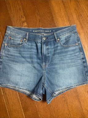 American Eagle Outfitters Light Blue Denim Jean Shorts